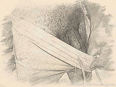 Bloodsagebbc free star galleries