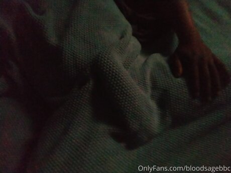 Bloodsagebbc model top photo