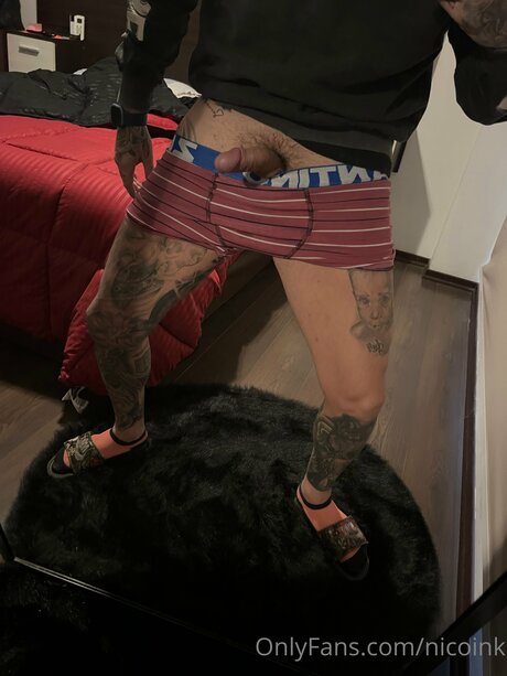 Nicoink free pornstar gallery