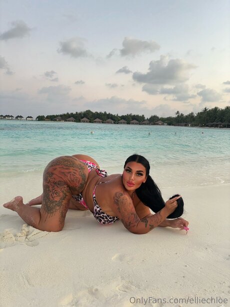 Elliechloe adult model pics