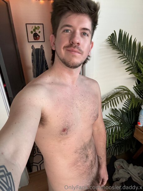 Hoosier Daddy X high quality star picture