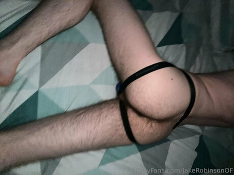 Jakerobinsonof nice pornstar img