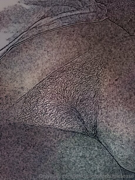 real nude onlyfans hd archive