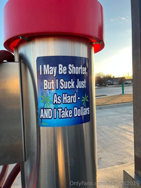 Bsecret2019 star pornographic image