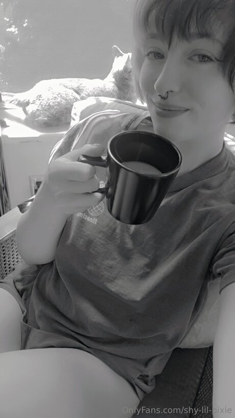 Shy Lil Pixie beautiful pornstar img