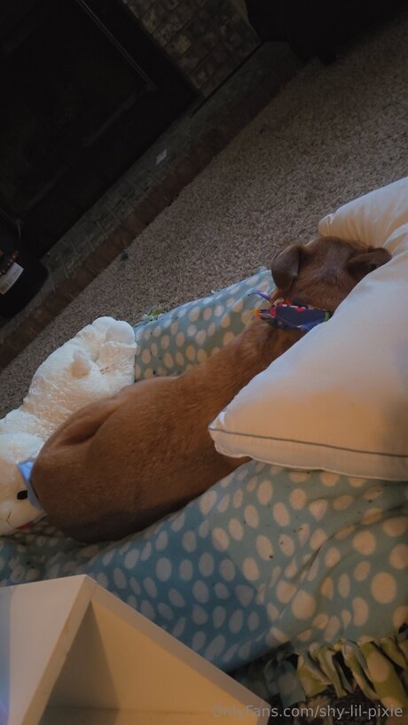 Shy Lil Pixie pornstar nice pic