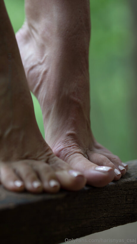 Harisnyas Csaj art star galleries