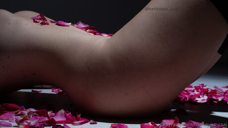 Harisnyas Csaj model exclusive gallery