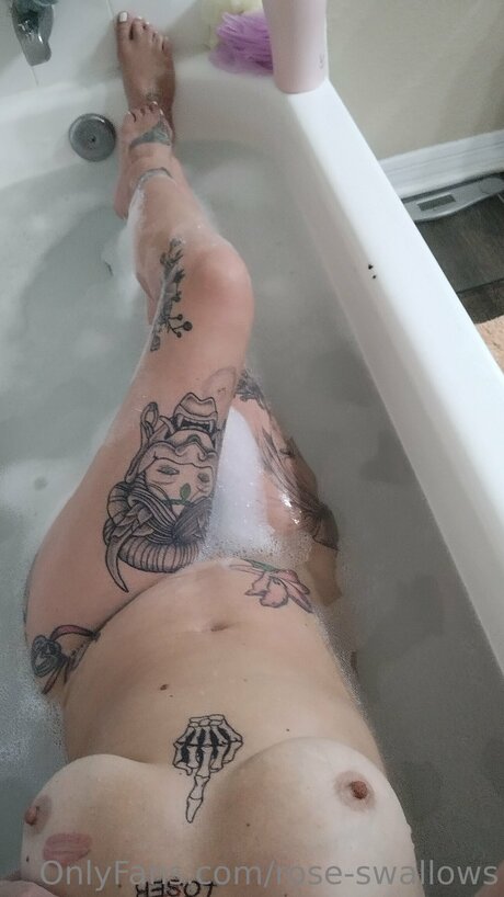 Rose Swallows pornstar art gallery