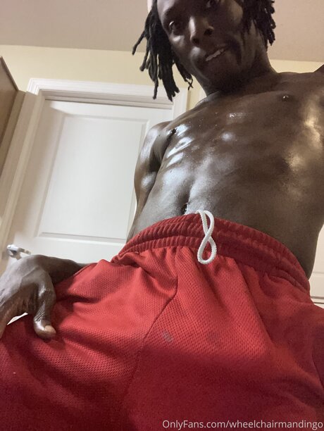 Wheelchairmandingo model best gallery