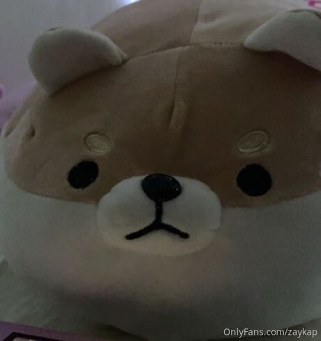 Zaykap pornstar pretty gallery