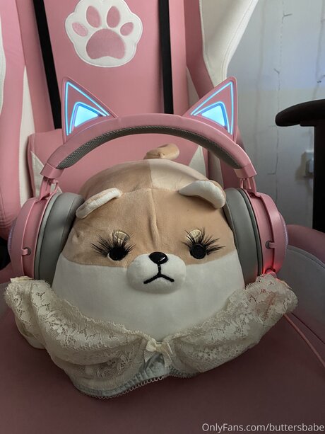 Zaykap top model galleries