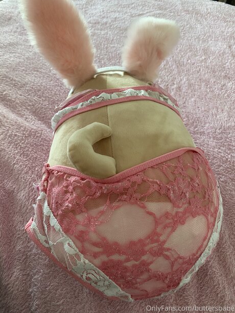 Zaykap pretty star img