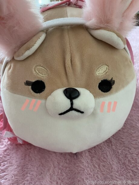 Zaykap high quality model image