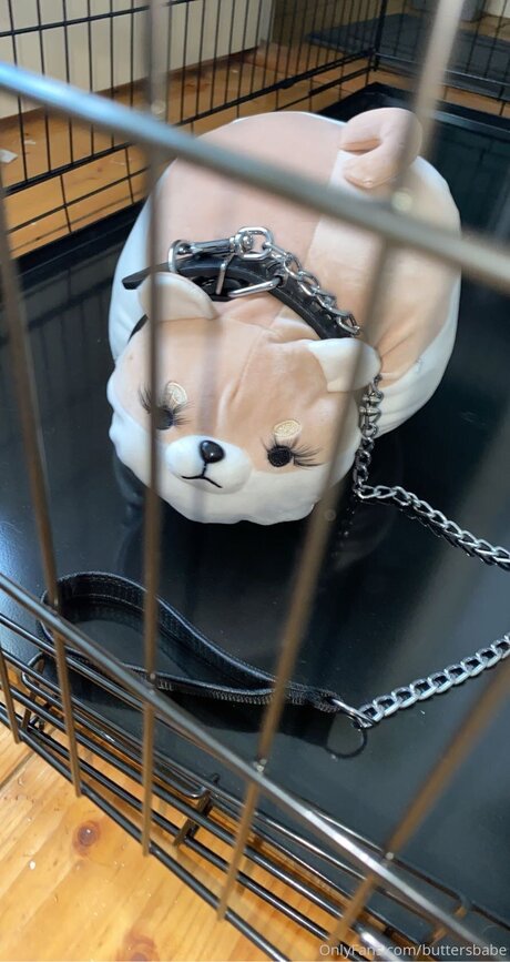 Zaykap adult star image