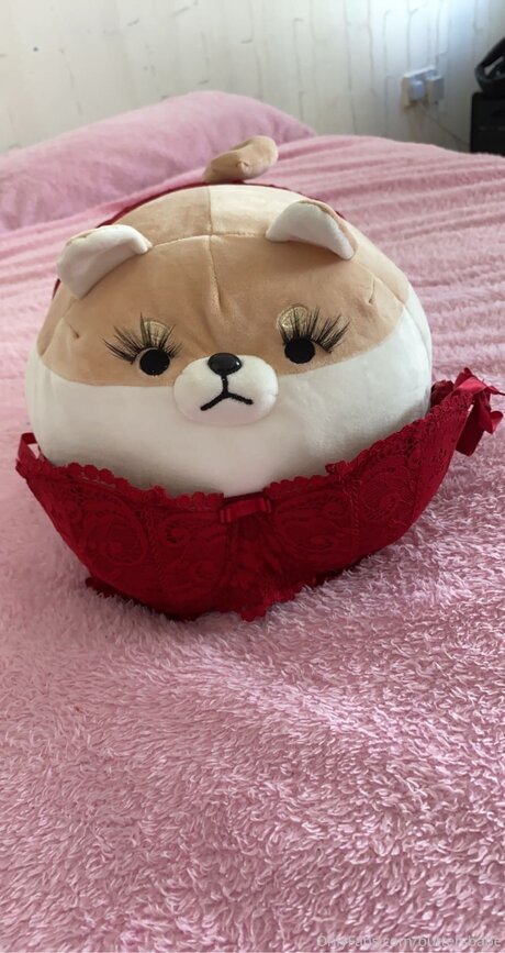 Zaykap adult star archive