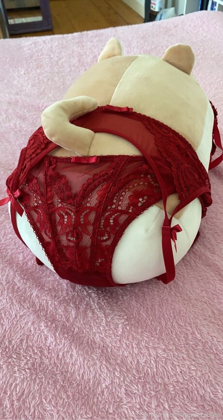 Zaykap top actress pic