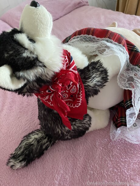 Zaykap star porn photo