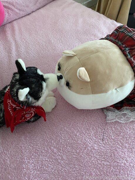 Zaykap model free img