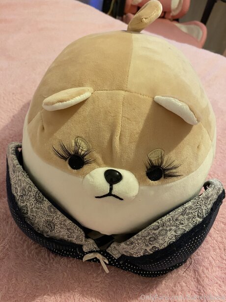 Zaykap model high quality pic