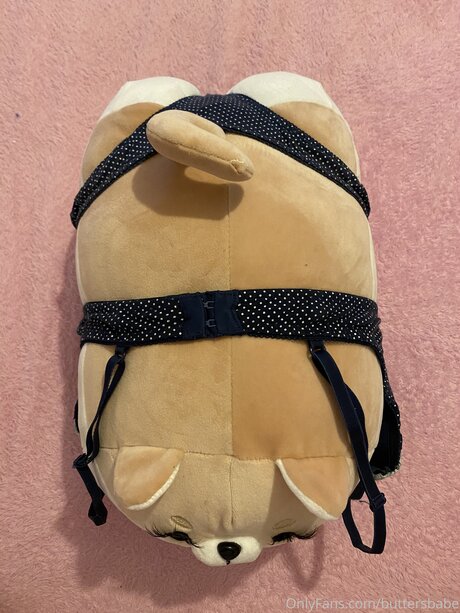 Zaykap top model pictures