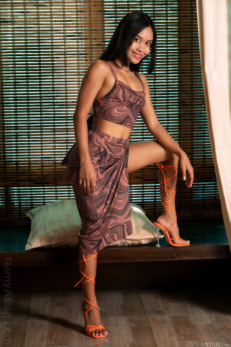 Namy Asian Free pornstar sex galleries