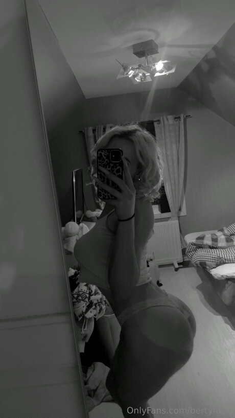 Bertyhora star perfect galleries