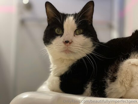 redhead xxx onlyfans pretty gallery