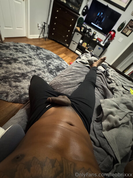 Leobrixxx hd pornstar galleries