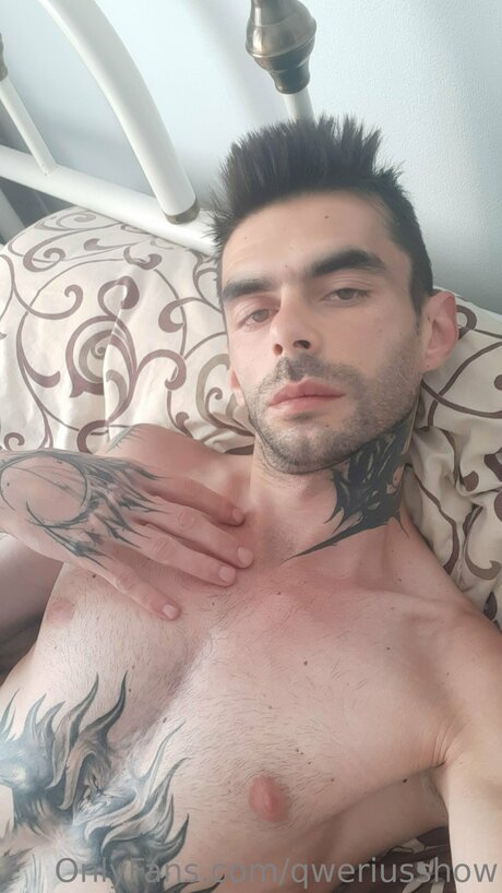 Qweriusshow adult star images