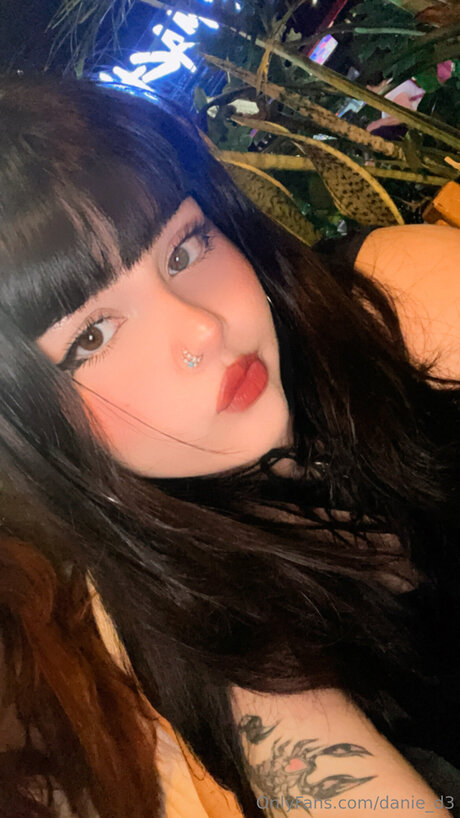 Danie D3 model art img