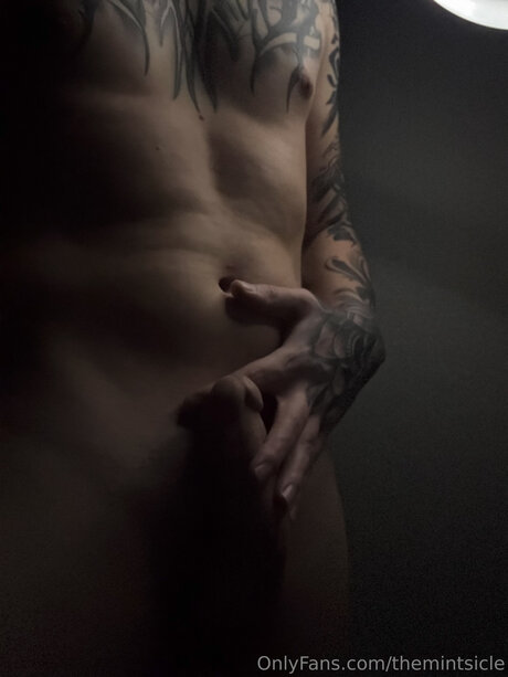 Themintsicle pretty star pics