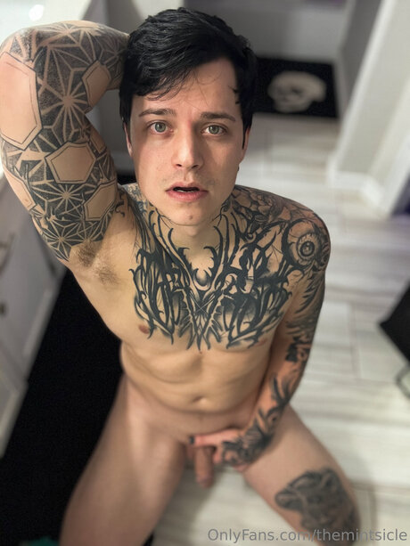 Themintsicle pornographic star pic