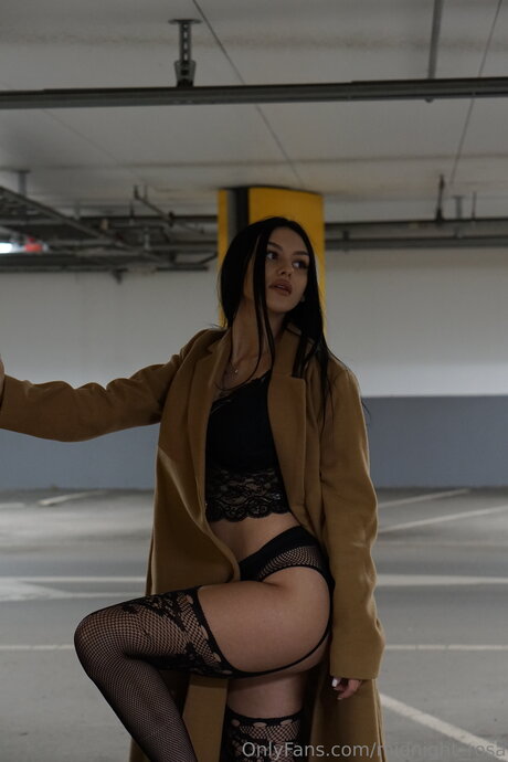 Midnight Rosa xxx actress photo