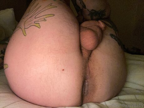 Preshbussybaby naked star img