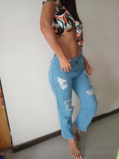 Littlebet model art image