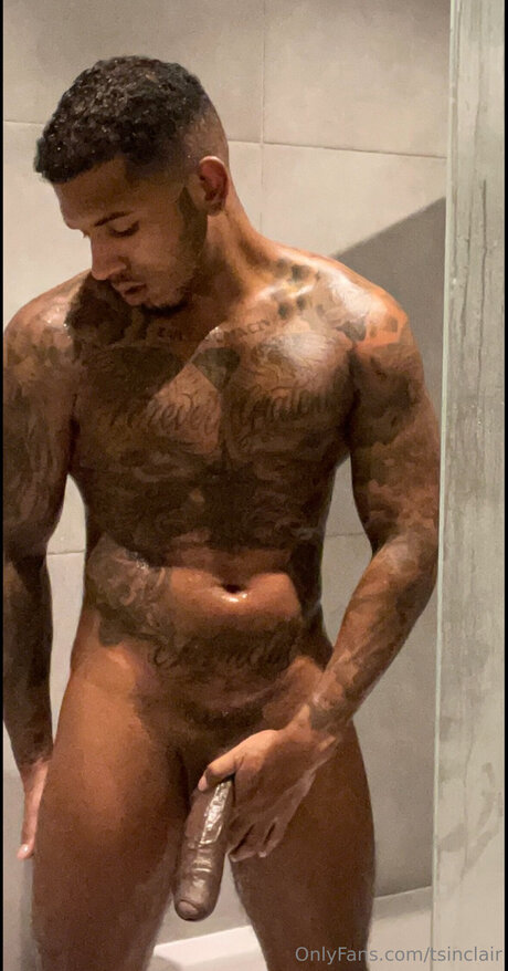 Tsinclair pornstar perfect archive