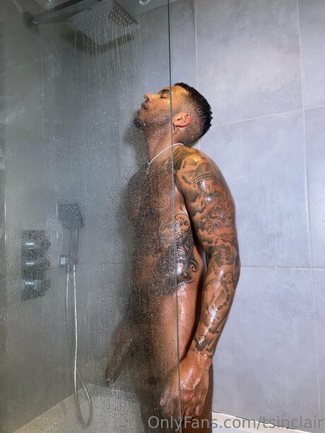 Tsinclair model best picture