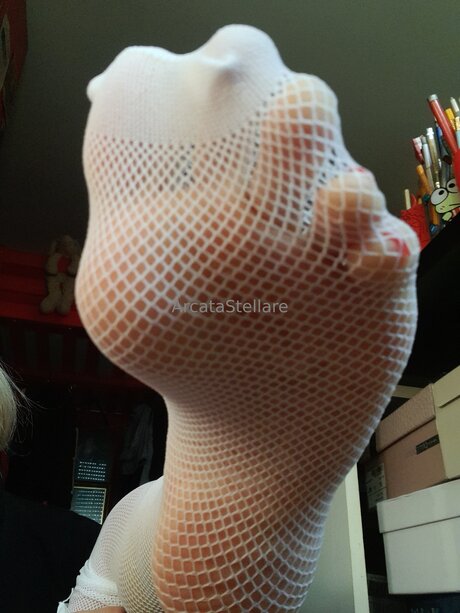 Arcatastellare adult model archive