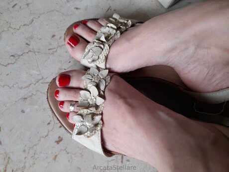 Arcatastellare model free galleries