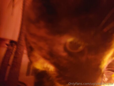 pregnant asian onlyfans art xxx photo