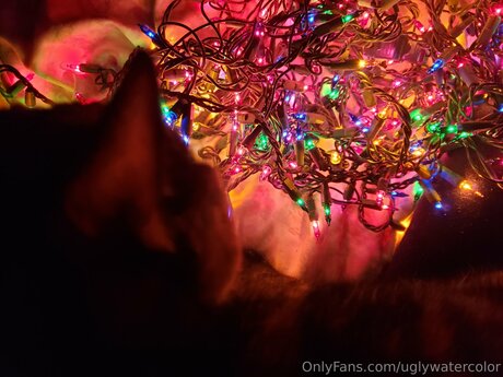 fitness pussy onlyfans adult archive