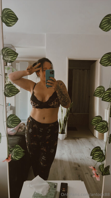 Antook88 hd star photos