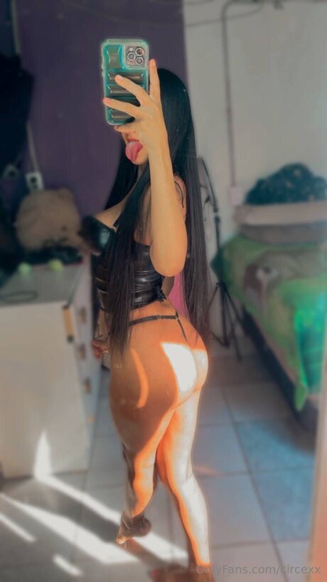 Circexx model best images