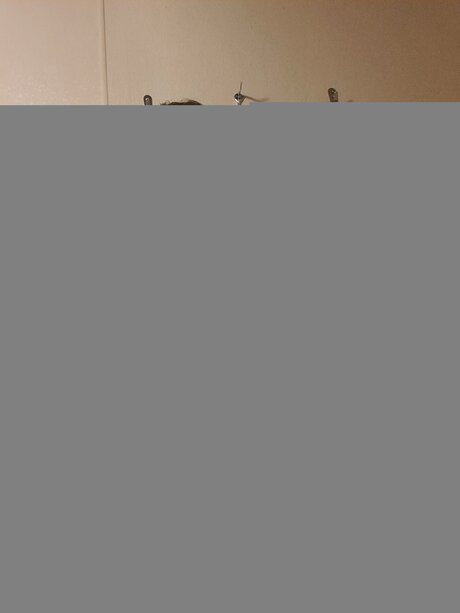 Lu Thebear69 pornstar high quality pic