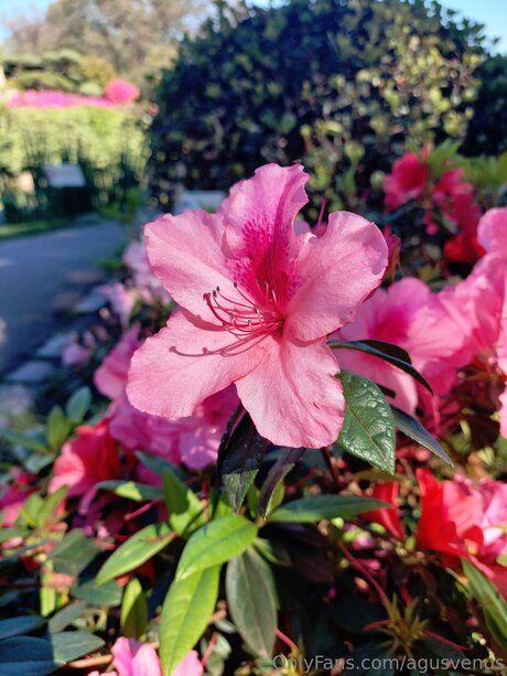 perfect body onlyfans art xxx photo