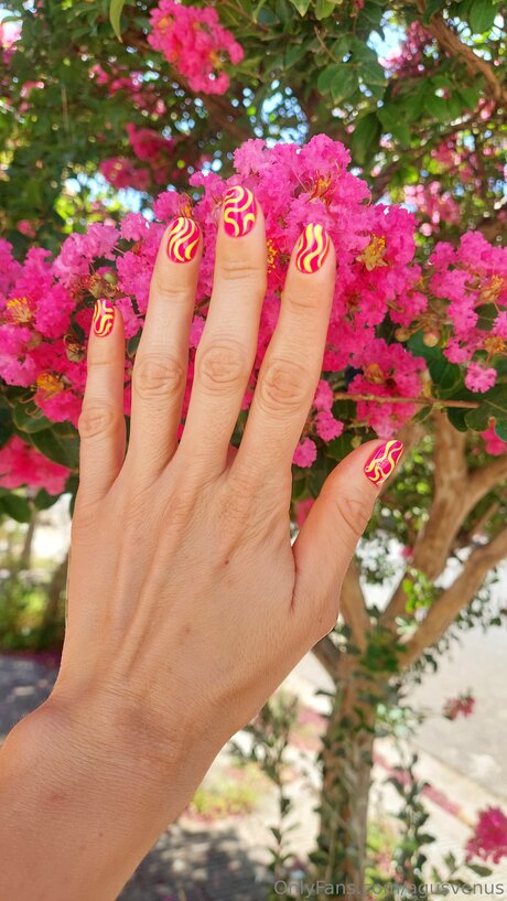 Agusvenus pretty star photos