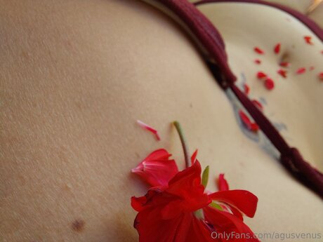 Agusvenus pornstar nice images