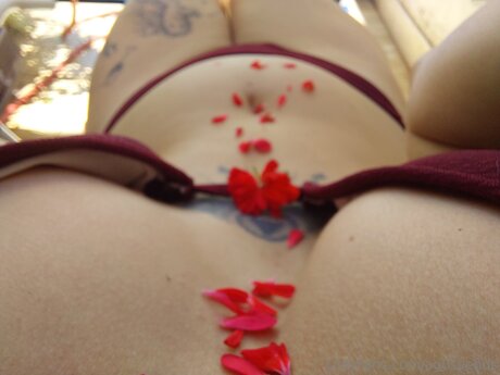 Agusvenus model adult pic