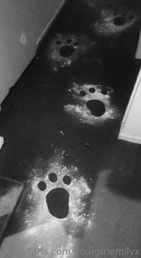 Yourgirlemilyx pornstar top image